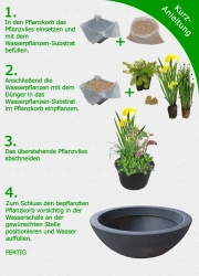 Miniteich Komplett Set